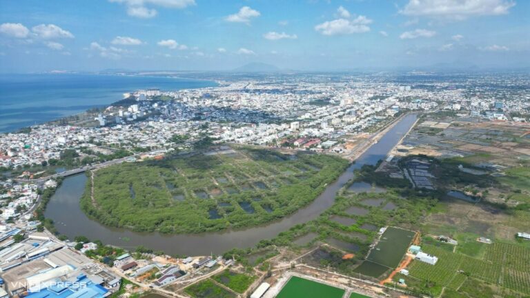 60 tỷ đồng làm đẹp bờ sông qua rừng ngập mặn Phan Thiết